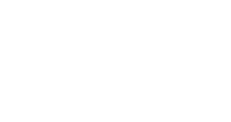 Shark Helmets